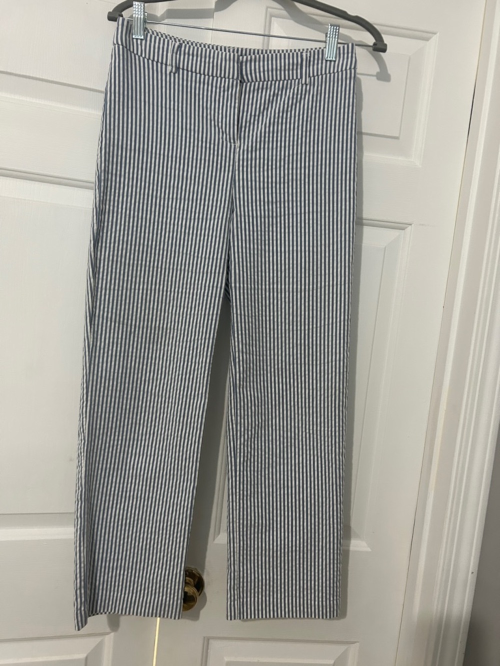 Adriana Vittadini Striped Women  Pants - Blue/White Size 4